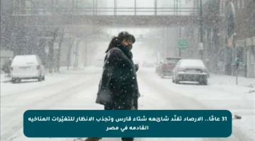 31 عامًا.. الأرصاد تفنّد شائعة شتاء قارس وتجذب الأنظار للتغيّرات المناخية القادمة في مصر